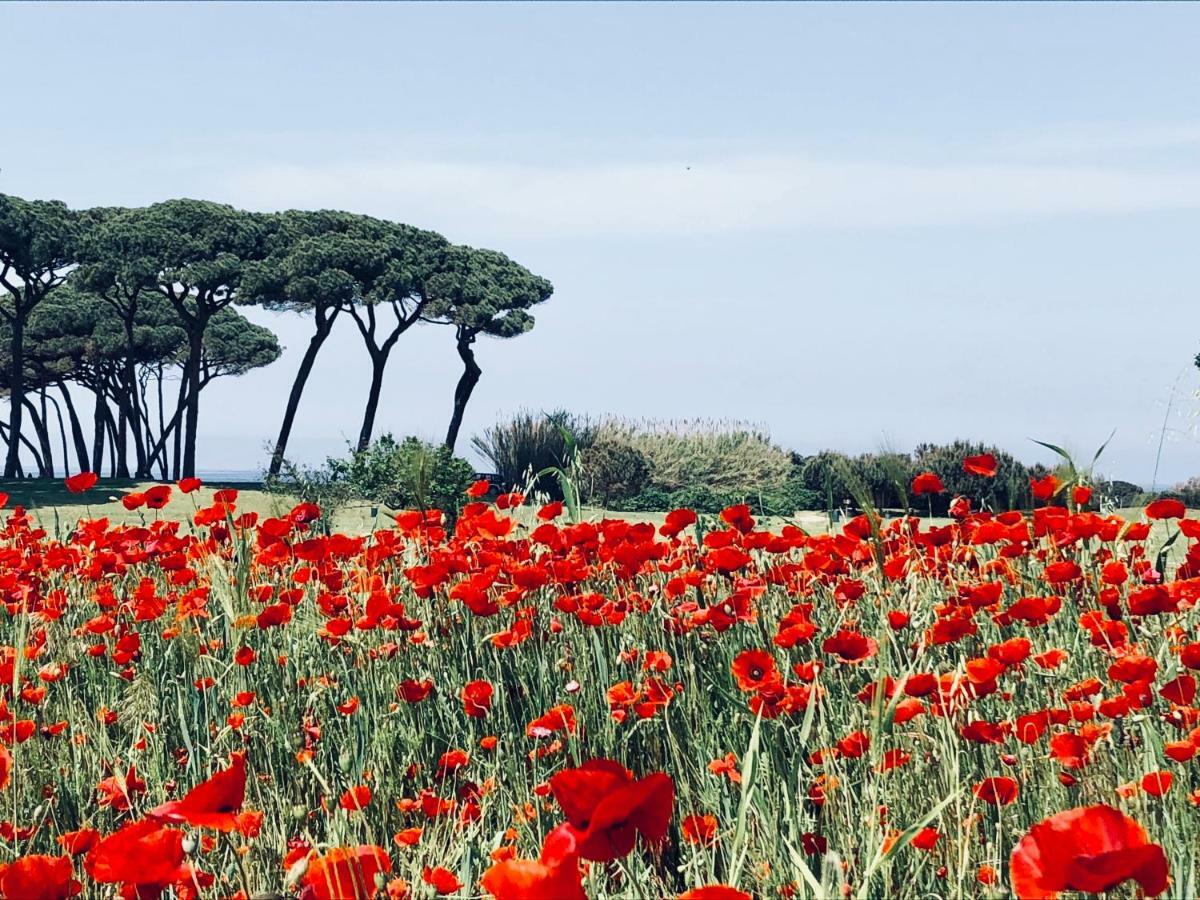 La Casa Nel Castello E Il Giardino Segreto Villa Suvereto Bagian luar foto